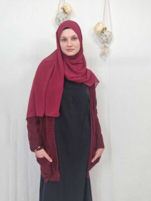 Stilysh Short Red Cardigans